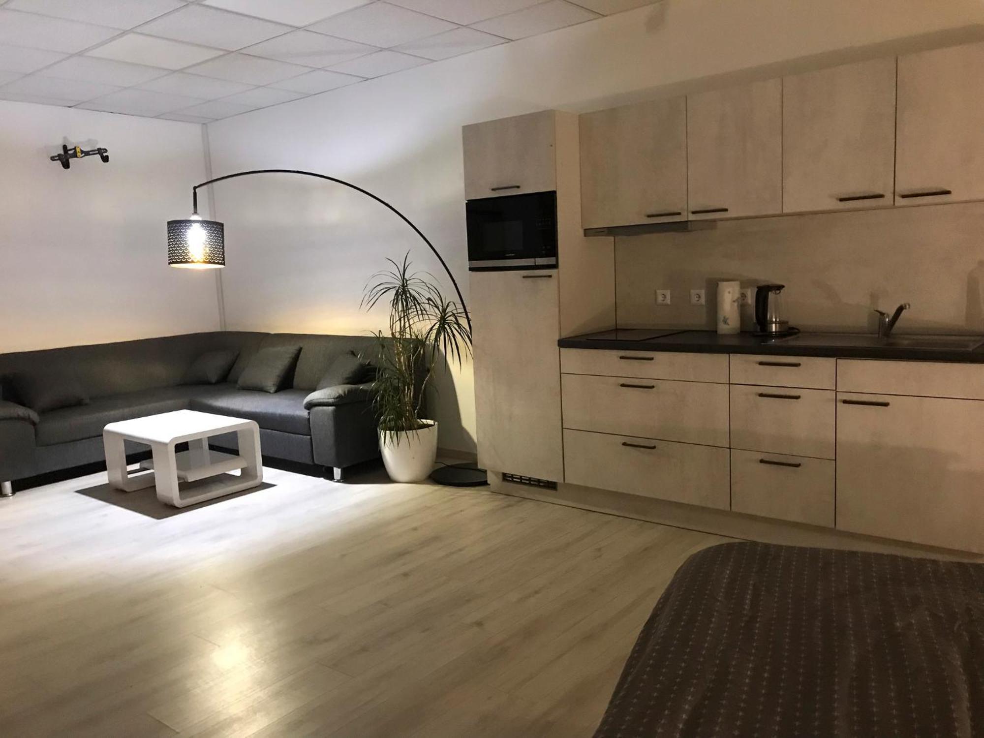 Grosse & Voll Ausgestattete Apartments, Studios, Doppelzimmer, Workspace, Parkplatz, Netflix, Prime & Schnelles Wifi In Ruhiger Lage Mit Garten Rudolstadt Ngoại thất bức ảnh